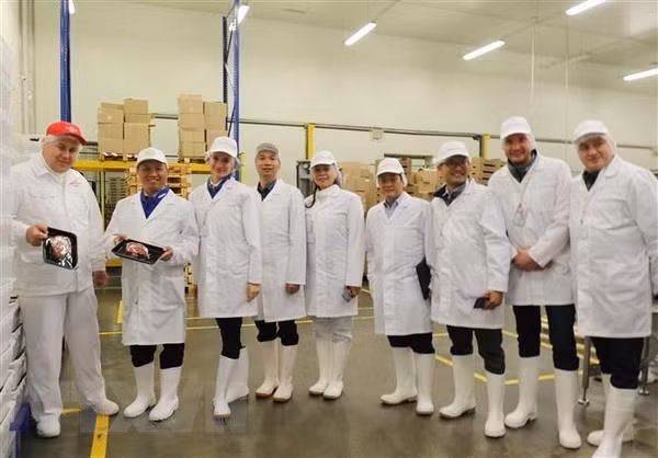 Promueve Vietnam ampliación de la colaboración con provincia rusa ảnh 1