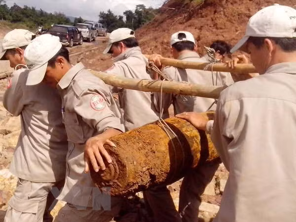 Destacan aportes de Organización no gubernamental de Peace Trees Vietnam ảnh 1