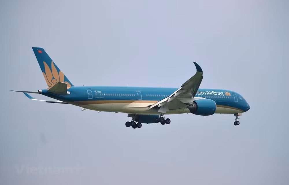 Incrementa Vietnam Airlines vuelos domésticos ảnh 1