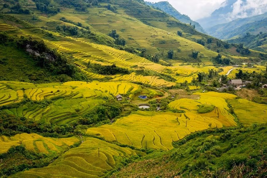 Y Ty, nuevo destino turístico con identidad cultural singular ảnh 1
