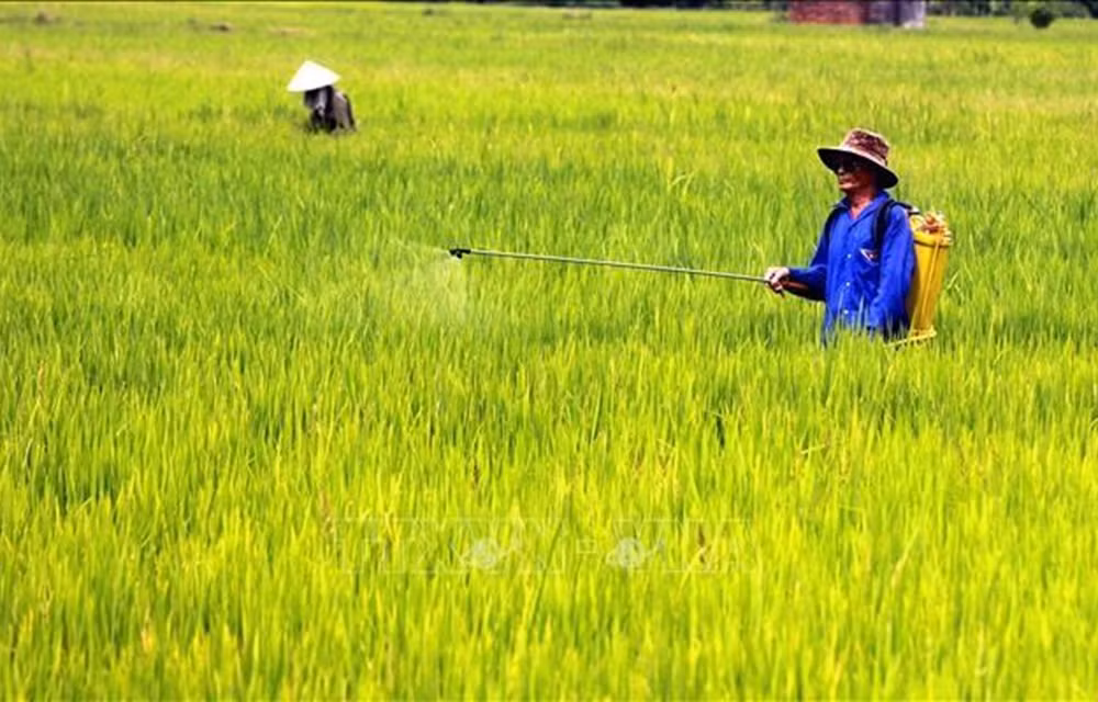 Vietnam celebra acto por el aniversario 40 del Día Mundial de la Alimentación ảnh 1
