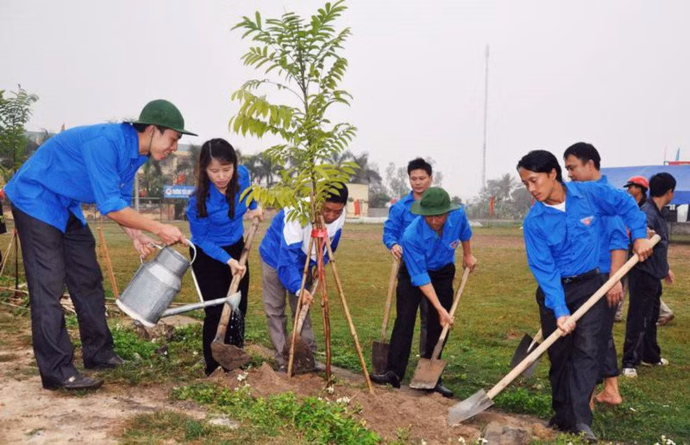 Miles de estudiantes participan en carrera comunitaria por la plantación de árboles ảnh 1 Miles de estudiantes participan en carrera comunitaria por la plantación de árboles ảnh 1
