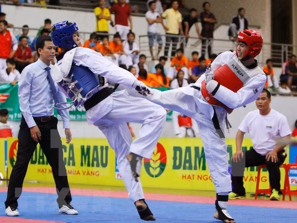 Corea del Sur respalda a Vietnam en desarrollo de Taekwondo ảnh 1