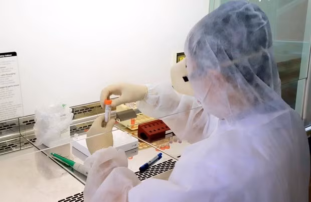 Vietnam confirma un nuevo caso importado del COVID-19 ảnh 1