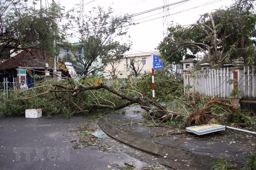 Tifón Movale provoca grandes pérdidas humanas y materiales en Vietnam ảnh 1