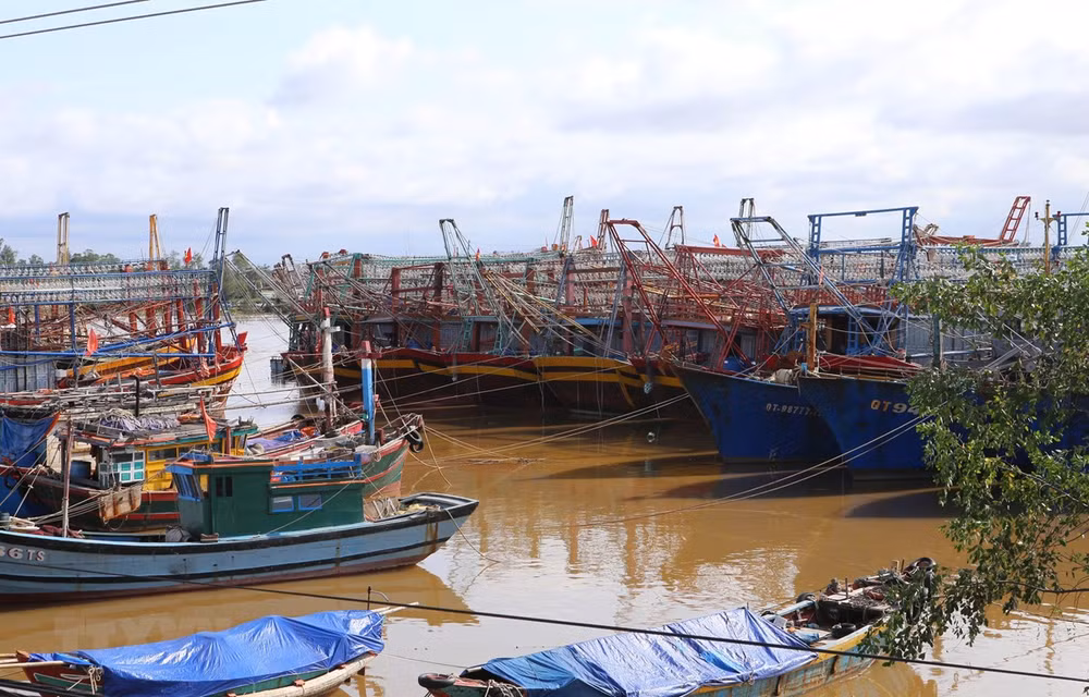 Provincias centrales de Vietnam preparadas para encarar otro tifón ảnh 1 Provincias centrales de Vietnam preparadas para encarar otro tifón ảnh 1