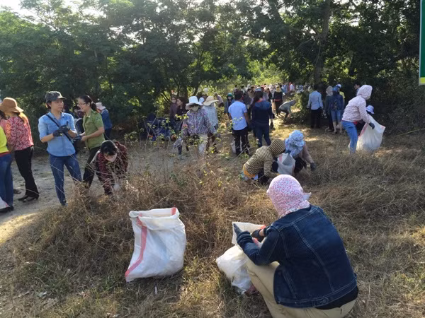 Da Nang despliega modelos de protección ambiental eficientes ảnh 1