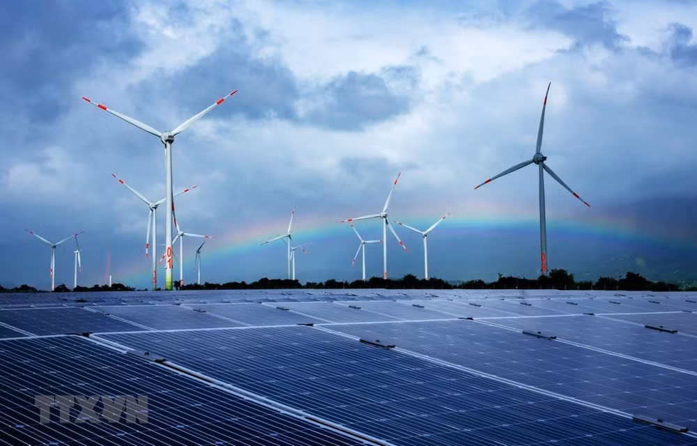 Región del Sudeste de Vietnam opta por economía verde ảnh 1