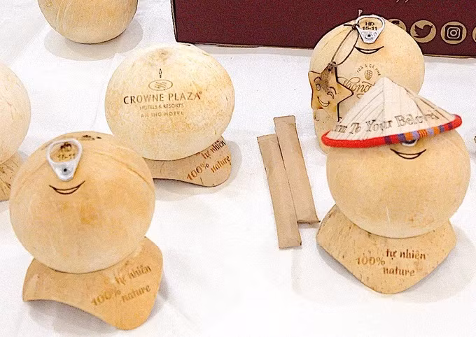 Potencial de exportación de coco vietnamita en mercados globales ảnh 2 Potencial de exportación de coco vietnamita en mercados globales ảnh 2