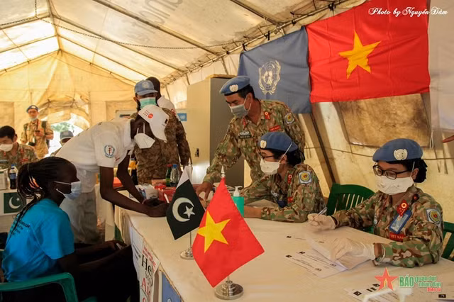 Vietnam se esfuerza por contribuir a la misión común de la ONU ảnh 2