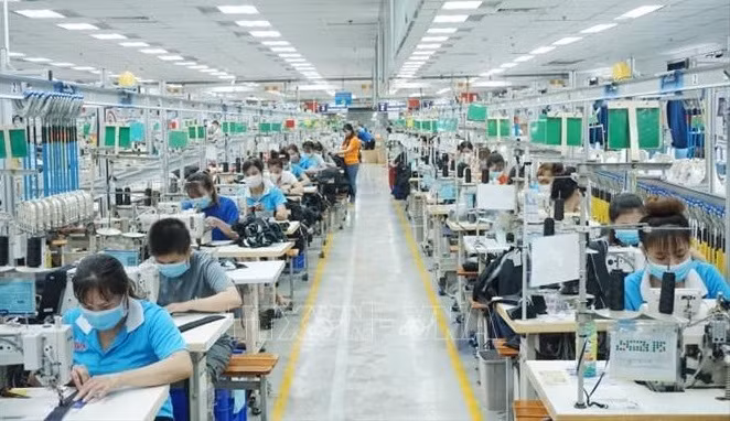 Impulsan desarrollo integral del mercado laboral en Sudeste de Vietnam ảnh 1