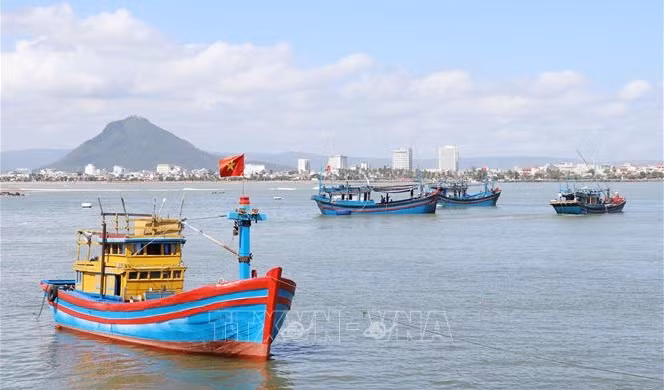Promueven soluciones propagandísticas en combatir pesca ilegal en Vietnam ảnh 2