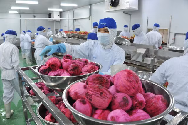 Vietnam genera miles de millones de dólares al año gracias a TLC ảnh 2