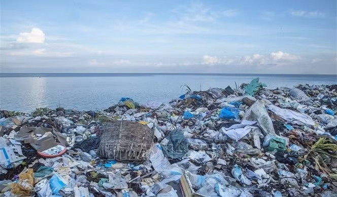 Conectan ciudades vietnamitas en lucha contra residuos plásticos ảnh 1
