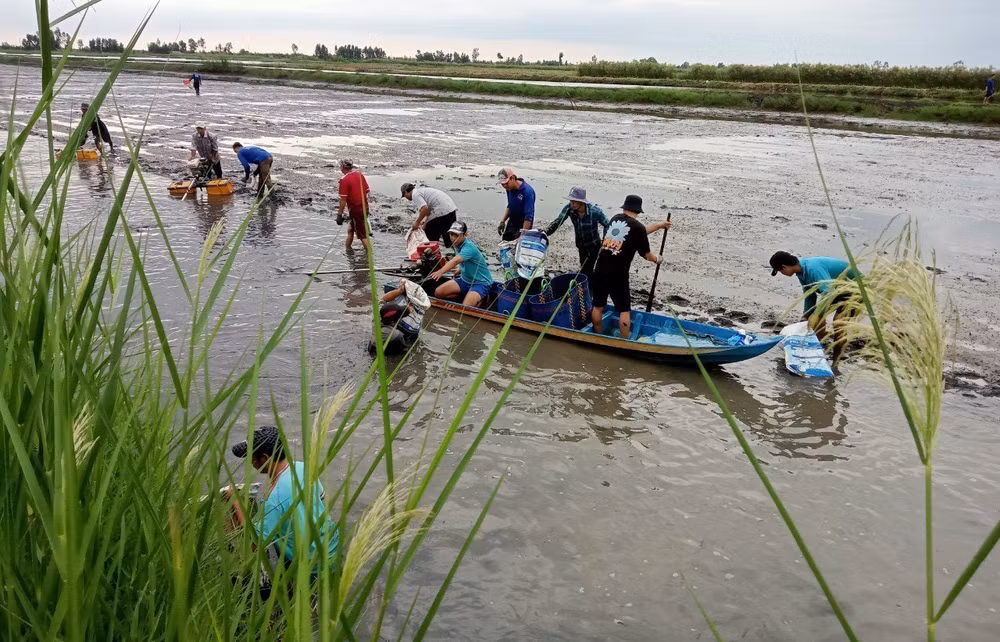 Vietnam desarrolla agricultura verde para responder al cambio climático ảnh 2