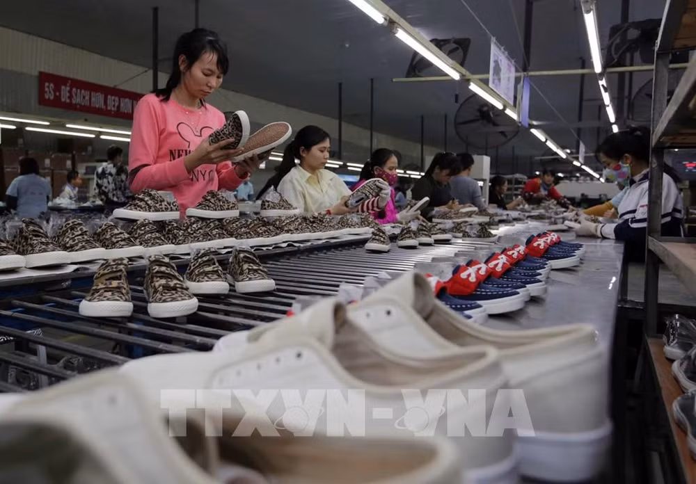Vietnam prepara su capacidad de protección comercial ảnh 1