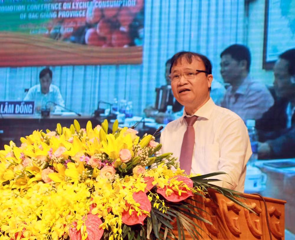 Ministerio de Industria y Comercio de Vietnam trabaja por promover ventas de lichi ảnh 1 Ministerio de Industria y Comercio de Vietnam trabaja por promover ventas de lichi ảnh 1