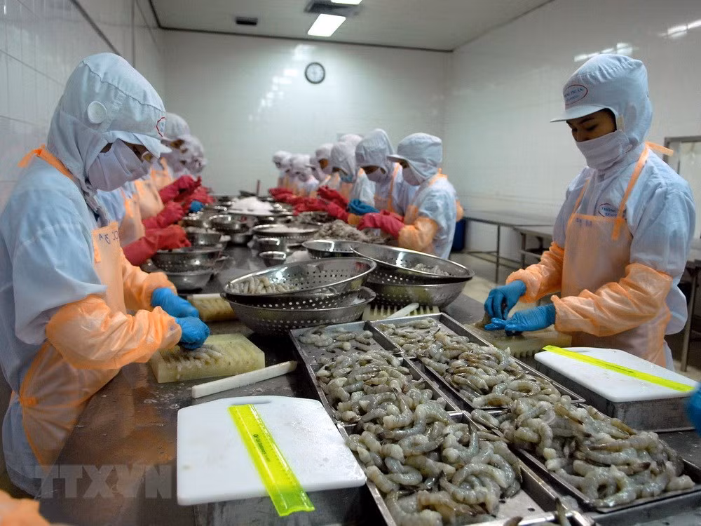 Crecen exportaciones vietnamitas de camarones a Canadá ảnh 1