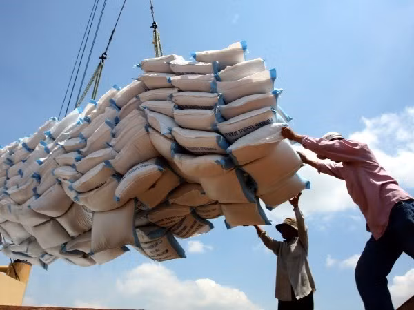 Camboya exporta casi un millón de toneladas de arroz a Vietnam ảnh 1