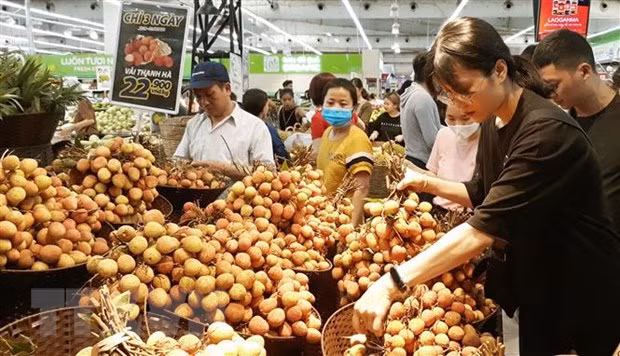 Busca Vietnam aumentar presencia de productos en mercados de la ASEAN ảnh 1