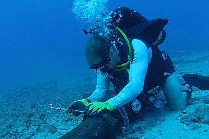 Rotura de cable submarino afecta Internet en Vietnam ảnh 1