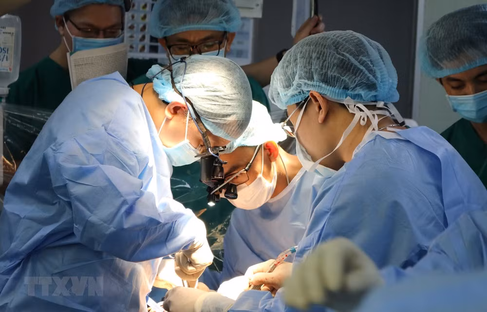 Hospital en Ciudad Ho Chi Minh realiza con éxito trasplante de corazón ảnh 1