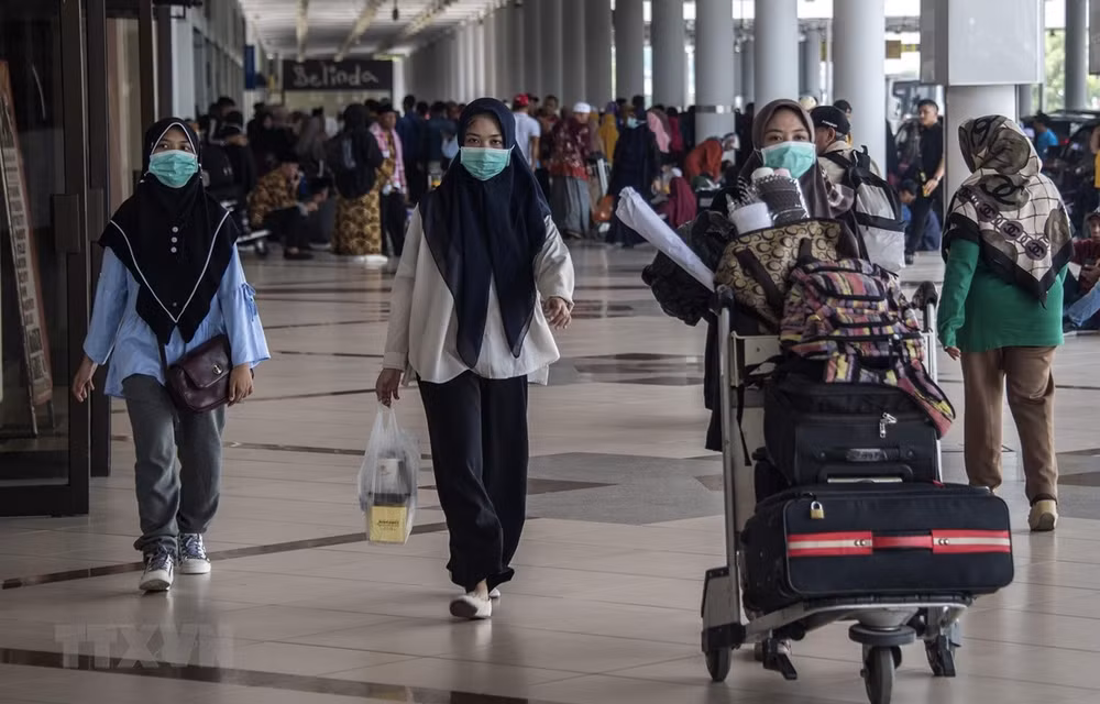 Indonesia adopta normas sobre transporte de pasajeros nacionales e internacionales ảnh 1