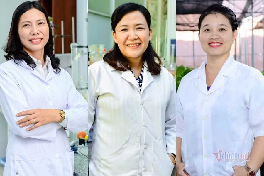 Tres científicas vietnamitas nombradas entre las 100 investigadoras más destacadas de Asia ảnh 1
