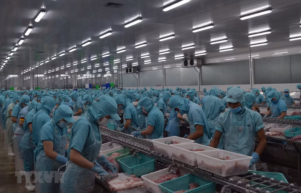 Empresas australianas optan por Vietnam para expandir sus negocios ảnh 1