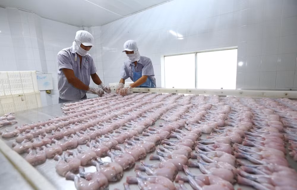 Relaciones comerciales Vietnam y Reino Unido se benefician del EVFTA ảnh 1