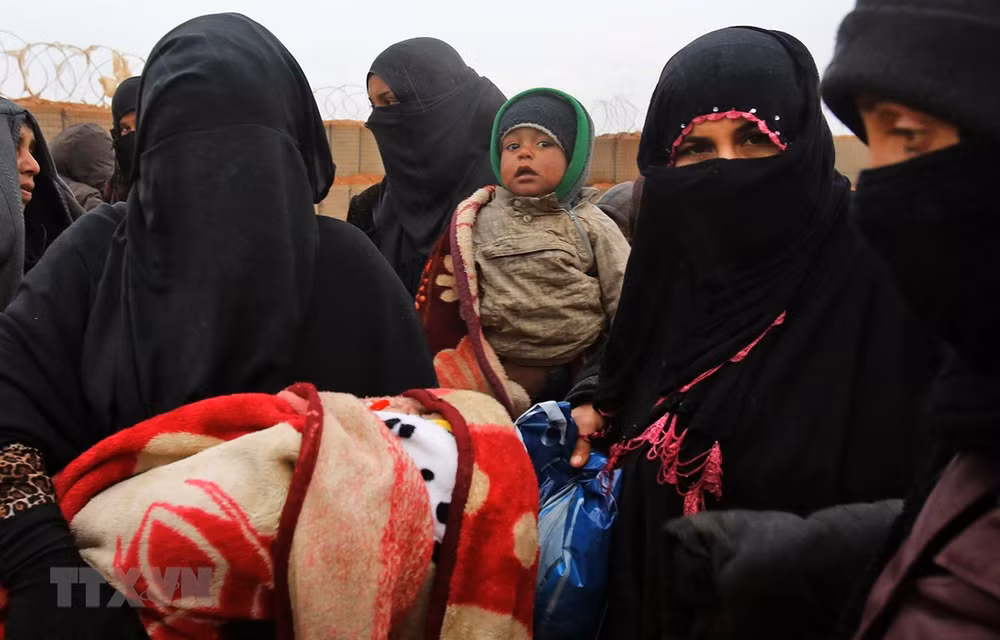 Vietnam pide mayor asistencia humanitaria a Siria ảnh 1