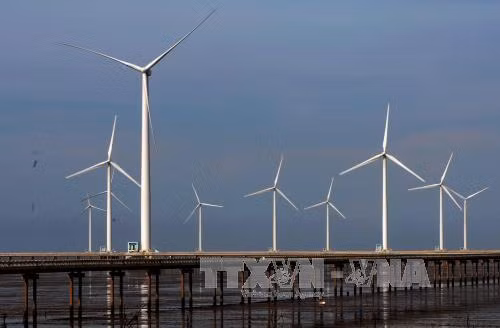 Dinamarca ayuda el desarrollo de energía eólica marina de Vietnam ảnh 1