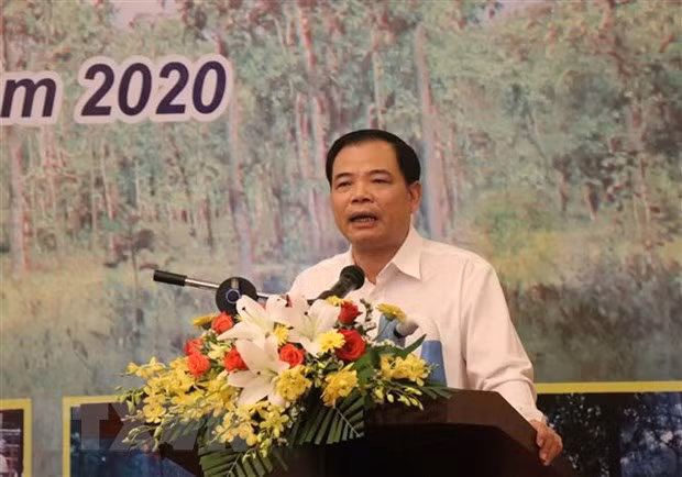 Buscan mejorar gestión y protección forestal en Altiplanicie Occidental de Vietnam ảnh 1