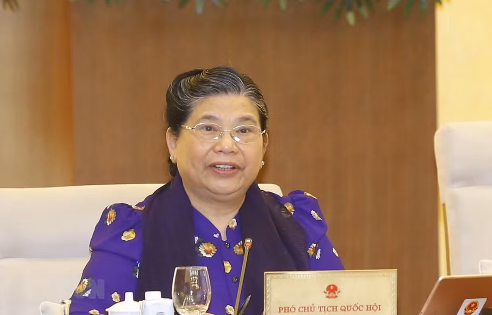 Clausuran 48 reunión de Comité Permanente del Parlamento de Vietnam ảnh 1