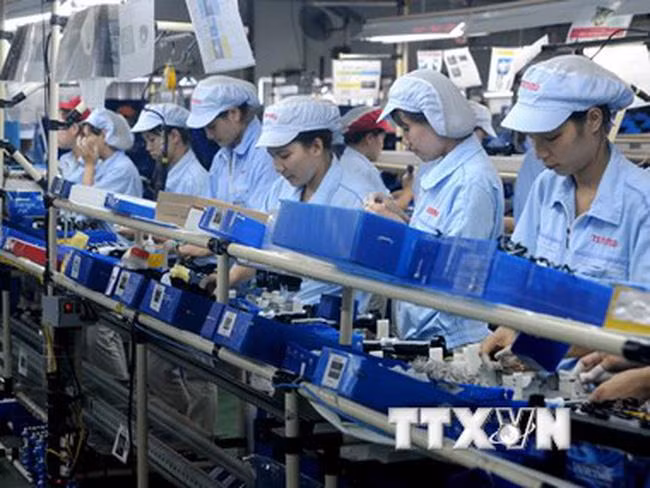 Aumenta comercio entre Vietnam e India en agosto en medio de la pandemia de COVID-19 ảnh 1