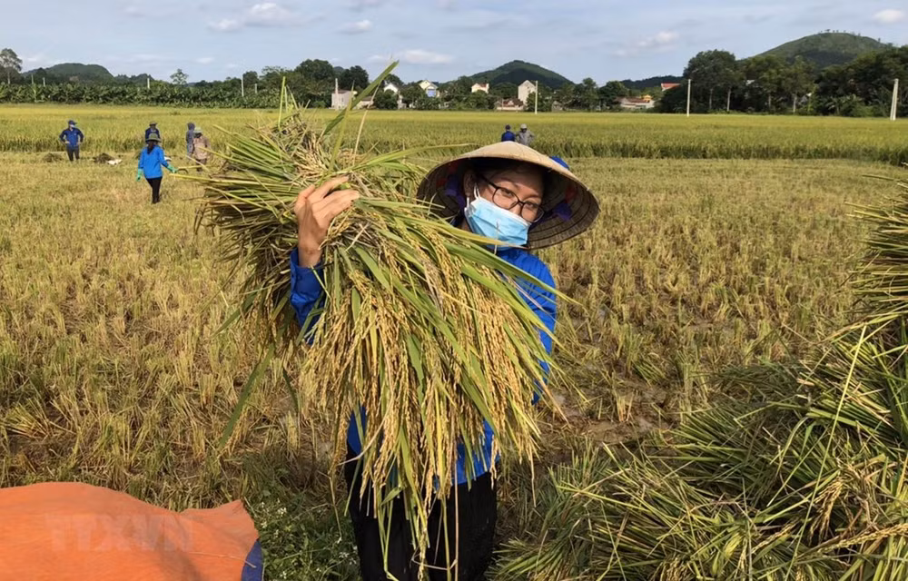 Vietnam traza 17 objetivos de desarrollo sostenible hasta 2030 ảnh 1