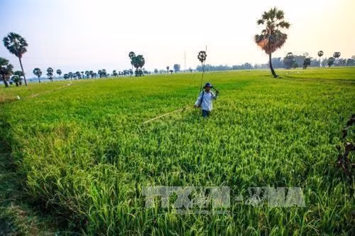 Hanoi impulsa el desarrollo cadena de producción y consumo de productos ảnh 1