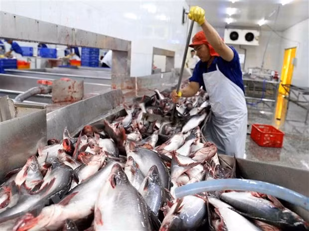 Doce empresas vietnamitas autorizadas a reexportar mariscos a Arabia Saudita ảnh 1