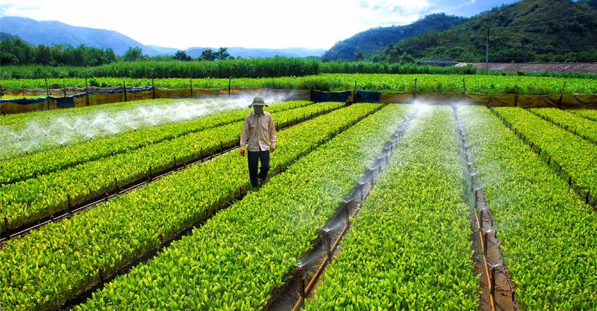 Más de la mitad de empresas vietnamitas se ven afectadas por el cambio climático ảnh 1