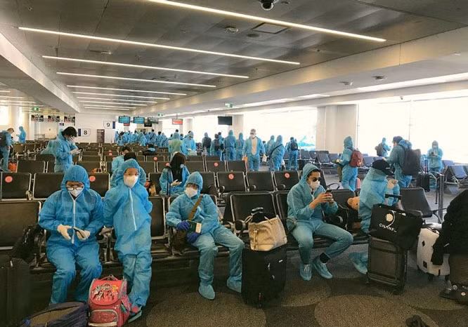 Repatrían a 350 ciudadanos vietnamitas desde Japón ảnh 1