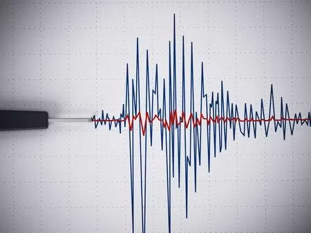 Fuerte sismo en el mar de Indonesia ảnh 1