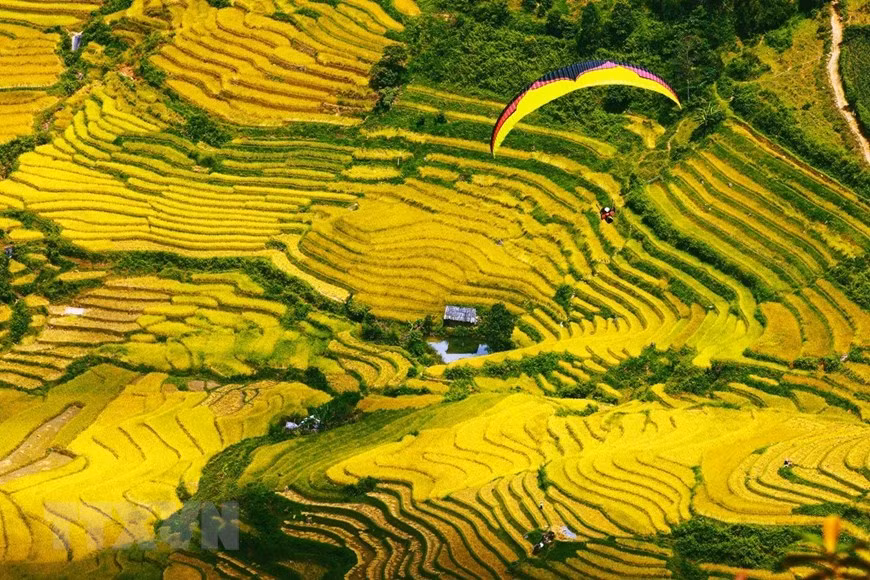 Contemplan la belleza de Mu Cang Chai en helicóptero ảnh 1