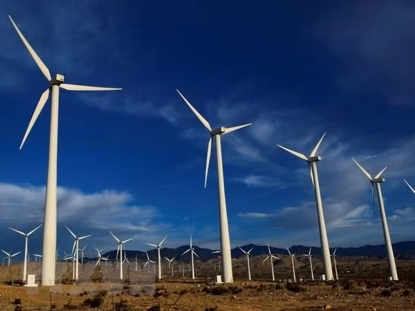 GWEC solicita a Vietnam extender tarifa de energía eólica ảnh 1
