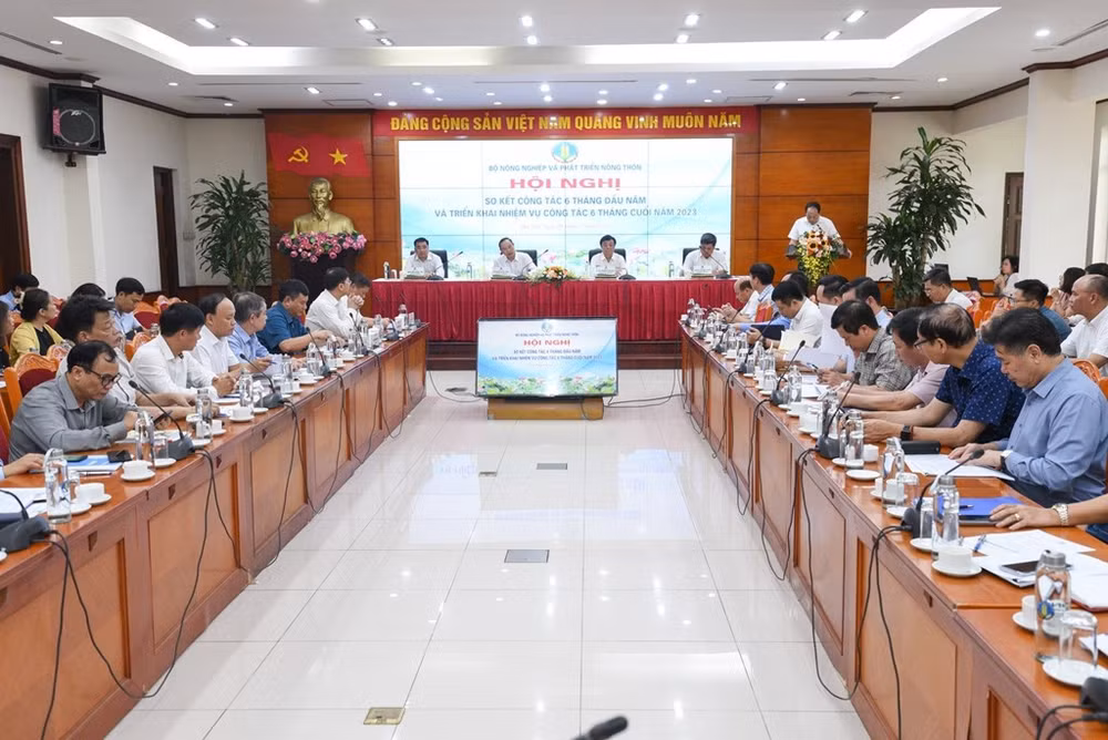 Exportaciones de arroz vietnamita registran perspectivas positivas ảnh 1
