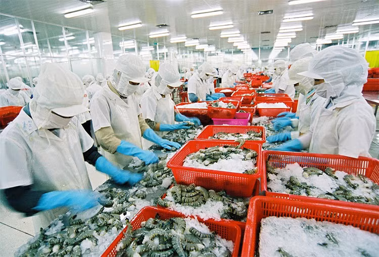 Inversión en logística promueve exportaciones agrícolas de Vietnam ảnh 2