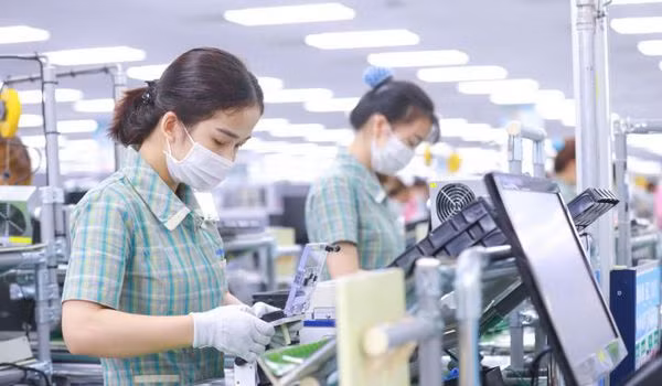 Aumenta valoración positiva sobre perspectiva comercial de Vietnam ảnh 2