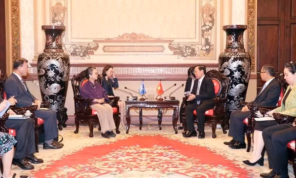Ciudad Ho Chi Minh desea recibir experiencias de ONU en transición energética ảnh 1
