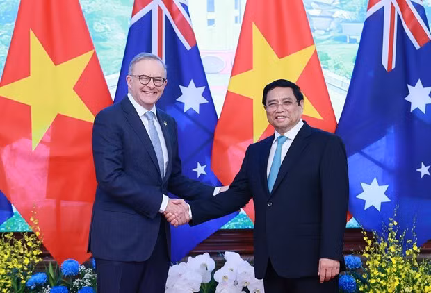 "Diplomacia de bambú” de Vietnam refleja la cohesión del país con la comunidad internacional ảnh 1