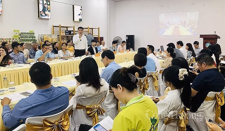 Promueven comercio electrónico de productos agrícolas de Vietnam en China ảnh 1 Promueven comercio electrónico de productos agrícolas de Vietnam en China ảnh 1