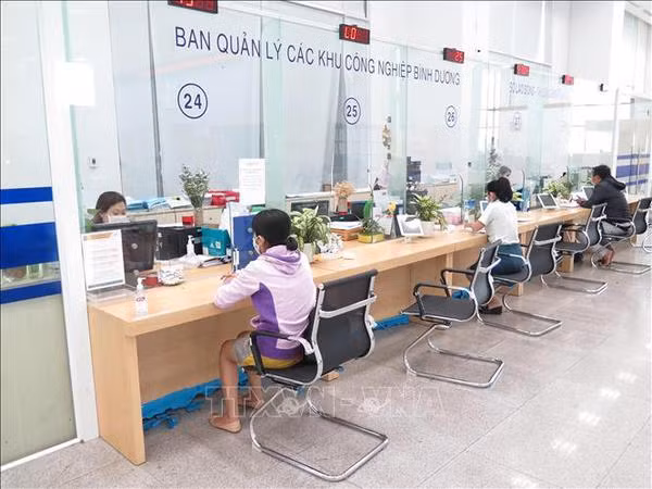 Acelera Vietnam el ritmo de transformación digital ảnh 2